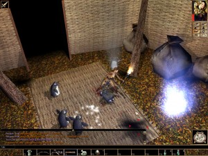 neverwinter resimleri