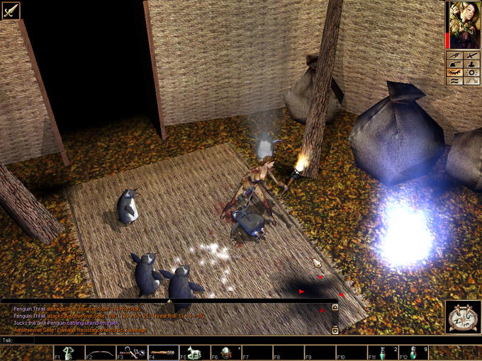 neverwinter resimleri