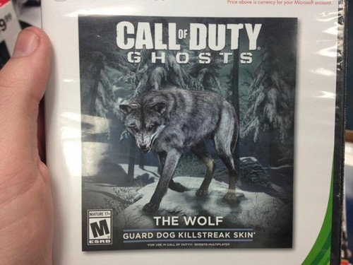 cod ghosts