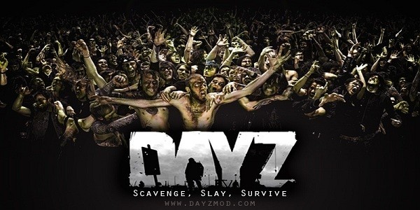 dayz